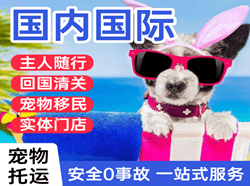 通辽机场快运国际宠物托运 【国